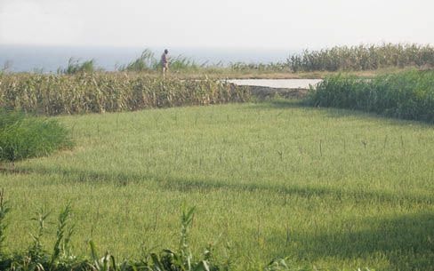 Miền Trung tiếp tục nắng nóng trong 10 ngày tới