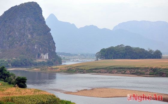 Mực nước sông Lam giảm sút, xuất hiện các bãi cát nổi (chụp tại càu Cây Chanh, xã Đỉnh Sơn.)