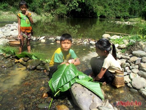 Trẻ em Khe Bu bắt cá trên suối Nặm Pu.