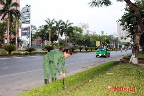 Những ngày nắng nóng gay gắt, chị Trần Thị Hồng ( ở đội hoa ) cũng tranh thủ làm từ 5h sáng để vừa đỡ nắng, vừa hạn chế cây bị khô héo sau khi cắt tỉa