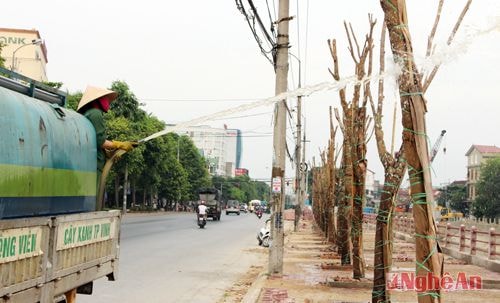 Chú trọng tưới nước thường xuyên cùng nhiều biện pháp chăm sóc, bảo vệ cây xanh của anh chị em công nhân công ty CP Công viên cây xanh đã góp phần làm dịu mát thành Vinh trong những ngày thời tiết khắc nghiệt. 