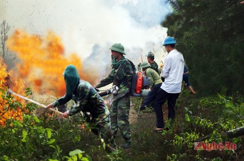 Cán bộ, chiến sỹ Lữ đoàn Công binh 414 giúp dân chữa cháy rừng.