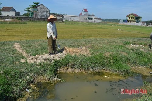 Khu vực nơi cháu Thắng bị rắn cắn