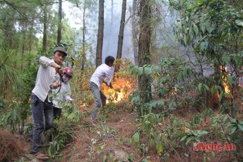Nhiều người dân tham gia chữa cháy rừng.