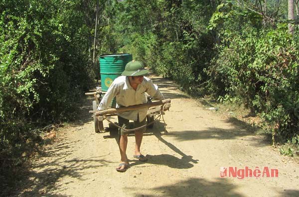 Anh Khăm Văn Thì, người dân tộc Nùng (thôn Trung Yên) thì phải dùng sức chở nước từ khe về để tưới cho cây chè