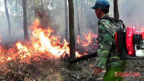 Sử dụng máy thổi để dập tắt đám cháy