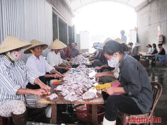 Cơ sở chế biến hải sản Hùng Châu ở xã Diễn Ngọc (Diễn Châu).