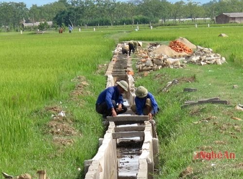 Bê tông hóa kênh mương nội đồng ở xã Hưng Thông (Hưng Nguyên).  Ảnh: Minh Thư