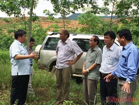 Lãnh đạo Tập đoàn cao su Việt Nam kiểm tra sự phát triển của vườn cao su tại Thanh Chương.