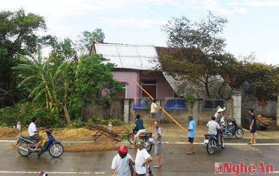 Người dân xã Xuân Lâm khắc phục hậu quả lốc xoáy.