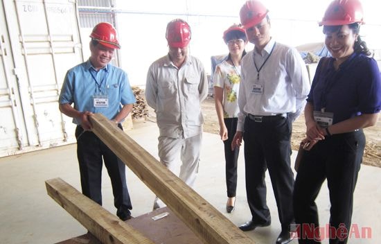 Kiểm tra sản phẩm thô trước khi đưa vào hoàn thiện.