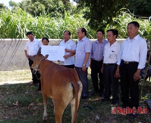 Đồng chí Nguyễn Văn Huy - Chủ tịch UBMTTQ tỉnh trao bò giống trị giá 15 triệu đồng cho gia đình anh Lễ Văn Tuấn