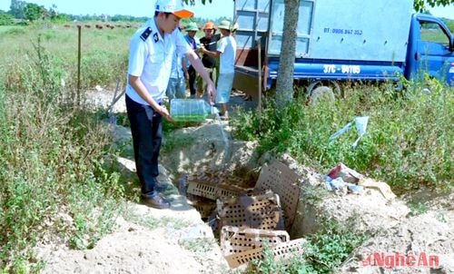 Tiêu hủy gia cầm