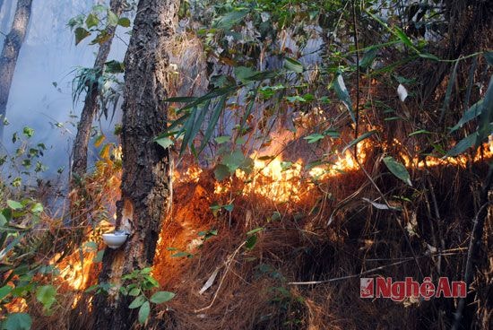 lửa cháy dữ dội