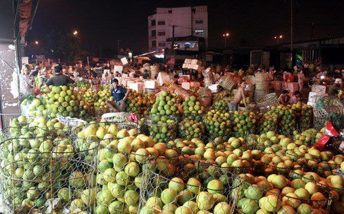 Hàng nông sản của Việt Nam chưa có trung tâm đấu giá và phân phối hàng hóa đi các nơi.