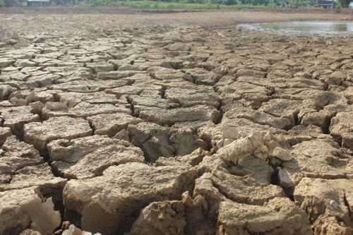 Hàng trăm hồ đập trên địa bàn Nghệ An đã khô trơ đáy do hạn hán. Ảnh: Hải Bình.