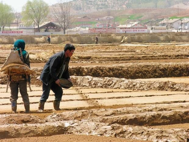 Đợt hạn hán tồi tệ nhất trong lịch sử 100 năm qua đang tiếp diễn ở Triều Tiên gây thiệt hại lớn.