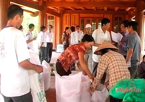 Cấp phát hỗ trợ gạo cho nhân dân huyện Quỳ Hợp.Ảnh: huy nhâm