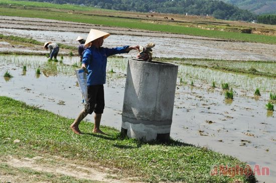 Xây dựng hệ thống hố rác trên đồng ruộng tại xã Thanhh Liên
