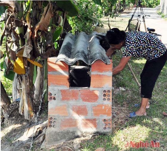 Hàng ngày, rác thải sinh hoạt của gia đình đều được bà Nguyễn Thị Nga, xóm Lên Trung, xã Thanh Liên thu gom và xử lý