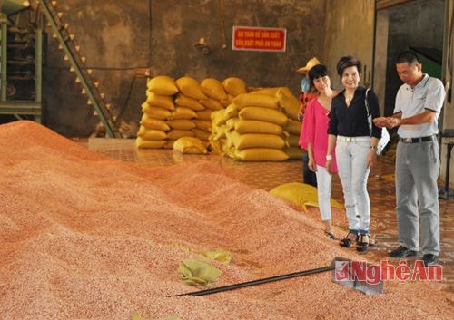 Cán bộ phòng quản lý XNK Sở Công thương giới thiệu sản phẩm với đối tác Thái Lan