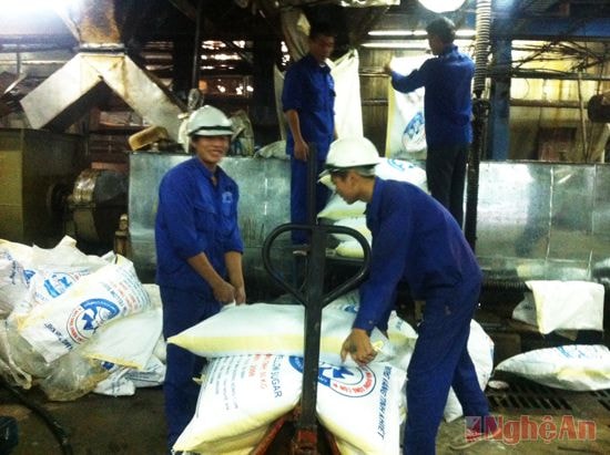 Đóng gói sản phẩm tại Nhà máy mía đường Sông Con (Tân Kỳ).  Ảnh:  Thu Huyền