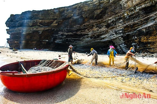 Đánh bát hải sản ở biển Hang Câu