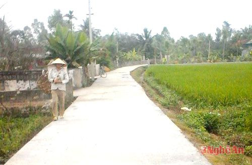 Đường nông thôn mới ở xóm Tân Xuân (Quỳnh Bảng).