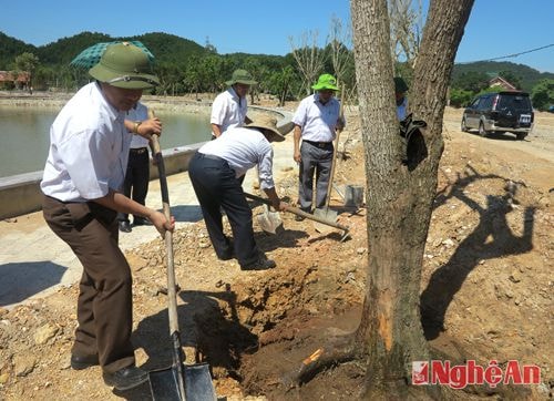 Trồng cây tại khu di tích