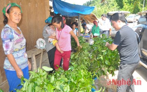 Chè xanh luôn được khách hàng dưới xuôi lựa chọn