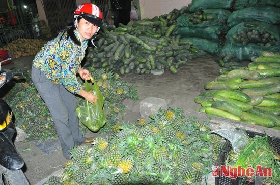 Chị Mai Thị Lương, tiểu thương chợ xép phía kênh Bắc, mua ít dứa Quỳ Hợp về bán lại.