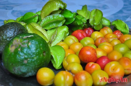 Một trong nhiều món hoa quả mà chợ xanh đêm nhẫn nại đã có mặt trên mâm quả của người thành Vinh buổi sáng