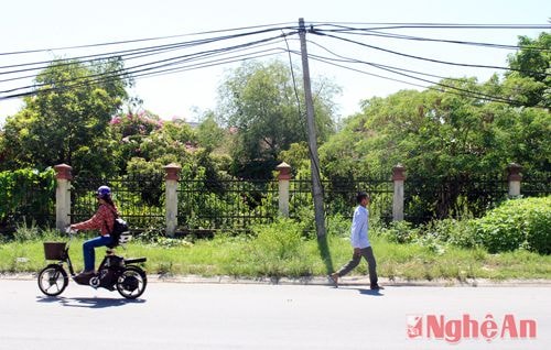 Cột điện nghiêng lệch hẳn một bên bởi thời gian dài oằn gánh dưới sức nặng của hệ thống dây điện, dây cáp. Ảnh chụp trên đường Hermann Gmeiner.