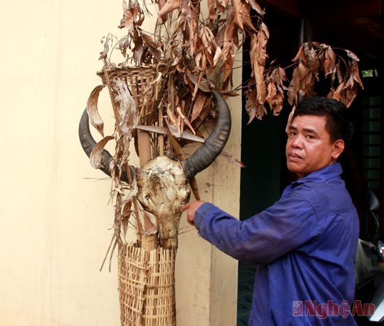 Đầu trâu trong căn bếp nhà ông Moong Phò Hoan ở xã Bảo Thắng.