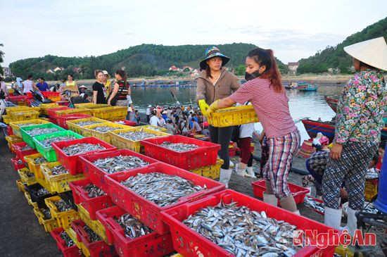 Quang cảnh chợ cá