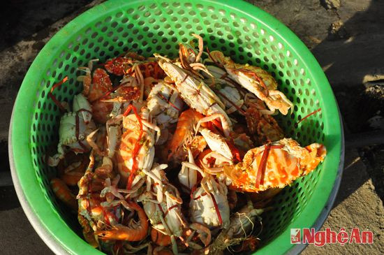 Món đã bày lên bàn, Cửa Lò mời bạn 