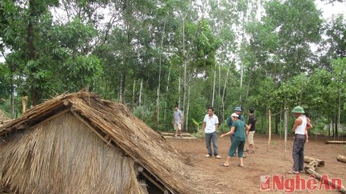 Cán bộ phòng NN và PTNT huyện Nghĩa Đàn kiểm tra tại nhà anh Lương Văn Hãm