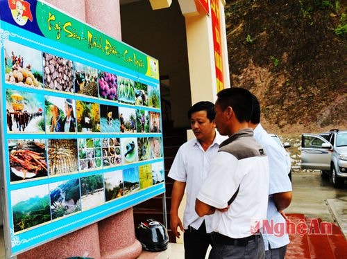 Các đại biểu xem trưng bày hình ảnh phản ánh các hoạt động văn hóa - xã hội trên địa bàn huyện trong nhiệm kỳ qua