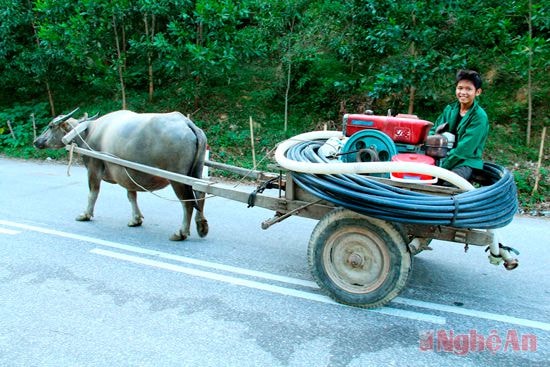 Nông dân Thanh Thủy (Thanh Chương) đầu tư máy bơm công suất lớn để bơm nước tưới chè.