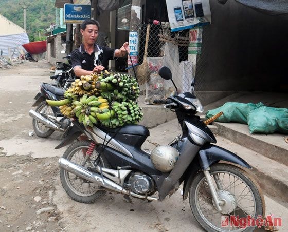 Chuối là sản vật nổi tiếng của bà con dân tộc Thái bản Piêng Phô (xã Phà Đánh).