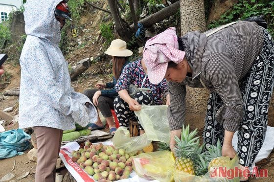 Đào và dứa là 2 sản vật đang vào thời điểm chính vụ ở Kỳ Sơn.