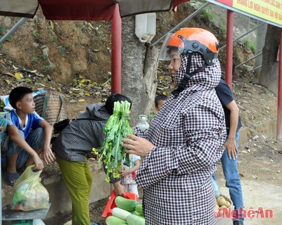 Cây cải Mông bắt đầu được thu hoạch và luôn được đồng bào Kỳ Sơn ưa chuộng, tin dùng.