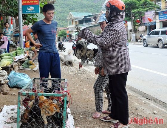 Gà đen cũng là thứ đặc sản được nhiều người ưa dùng.