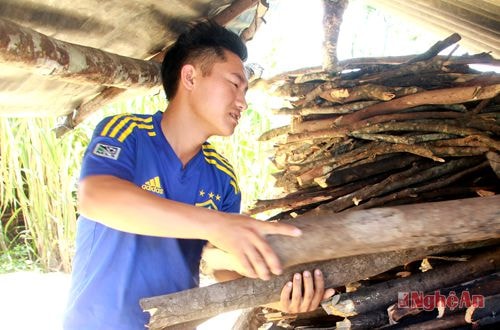 Anh Hờ Bá Dềnh ở bản Huồi Khe, xã Huồi Tụ (Kỳ Sơn) tốt nghiệp Đại học Luật Hà Nội năm 2014 chưa được tuyển dụng.