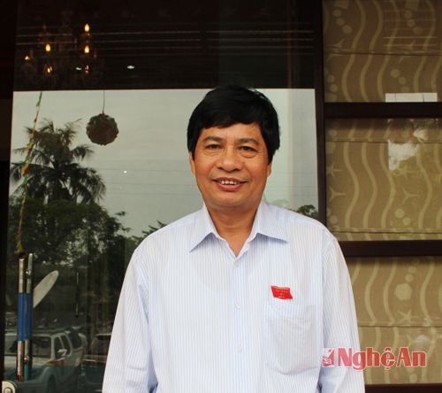 Đại biểu Nguyễn Ngọc Cương cho rằng bản báo cáo KT-XH UBND tỉnh rất trung thực, chỉ ra những khó khăn đồng thời phản ánh được những nỗ lực để vượt qua khó khăn, có những lĩnh vực có nhiều tín hiệu khởi sắc. Cử tri phấn khởi trước việc nhiều tập đoàn lớn đã vào Nghệ An và cử tri đang theo dõi, kỳ vọng vào hiệu quả thiết thực của các dự án  đầu tư.
