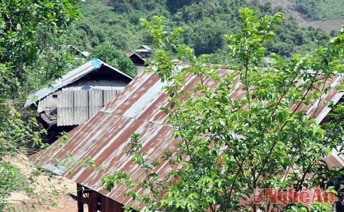 Vì đường giao thông trắc trở, việc vận chuyển nguyên vật liệu khó khăn nên hầu hết ngôi nhà ở đây đều được lợp bằng tôn.