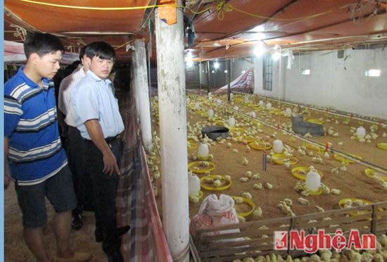 Đại diện phòng Nông nghiệp huyện và các thành viên đoàn kiểm tra các trang trại chăn nuôi.