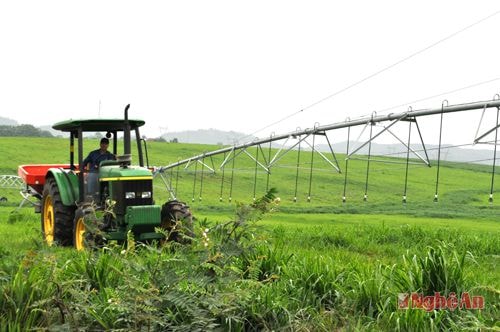 Ứng dụng công nghệ cao vào sản xuất cỏ phục vụ chăn nuôi bò sữa ở trang trại TH (Nghĩa Đàn). Ảnh: C.L