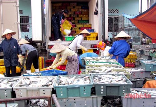 Lực lượng hậu cần của ngư dân xã Tiến Thủy (Quỳnh Lưu) đón cá về.