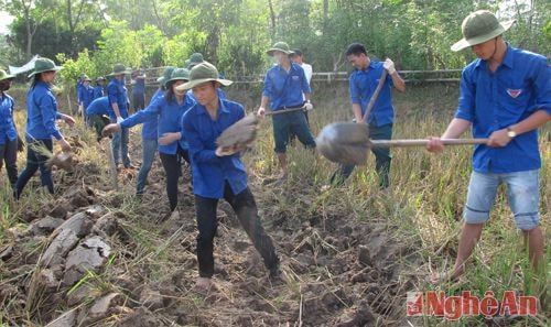 Đội sinh viên tình nguyện giúp đỡ đồng bào xã Tiền Phong, huyện Quế Phong xây dựng nông thôn mới.